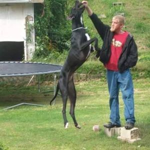 Meet your Posher, Russell